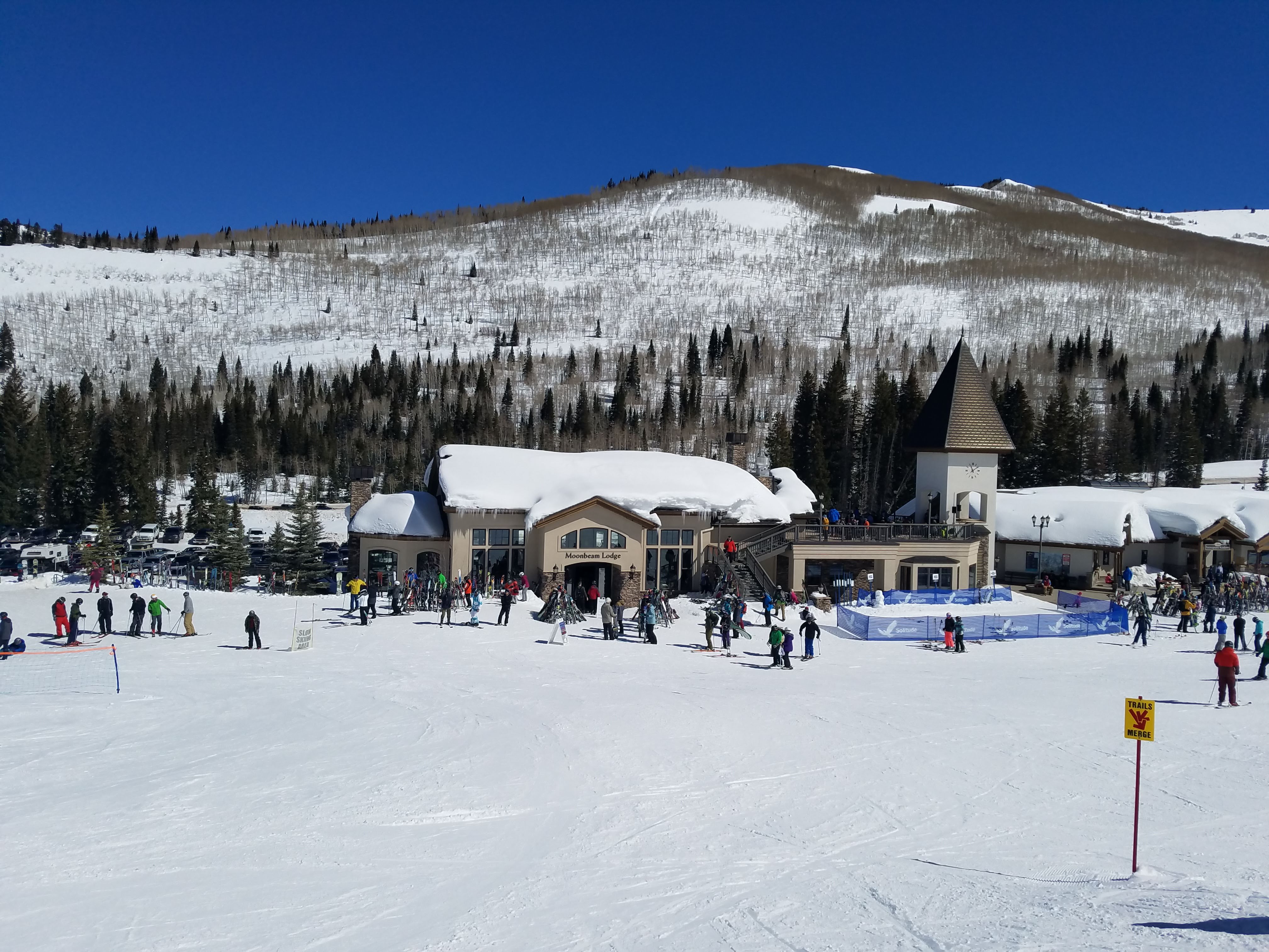 Ski Trips